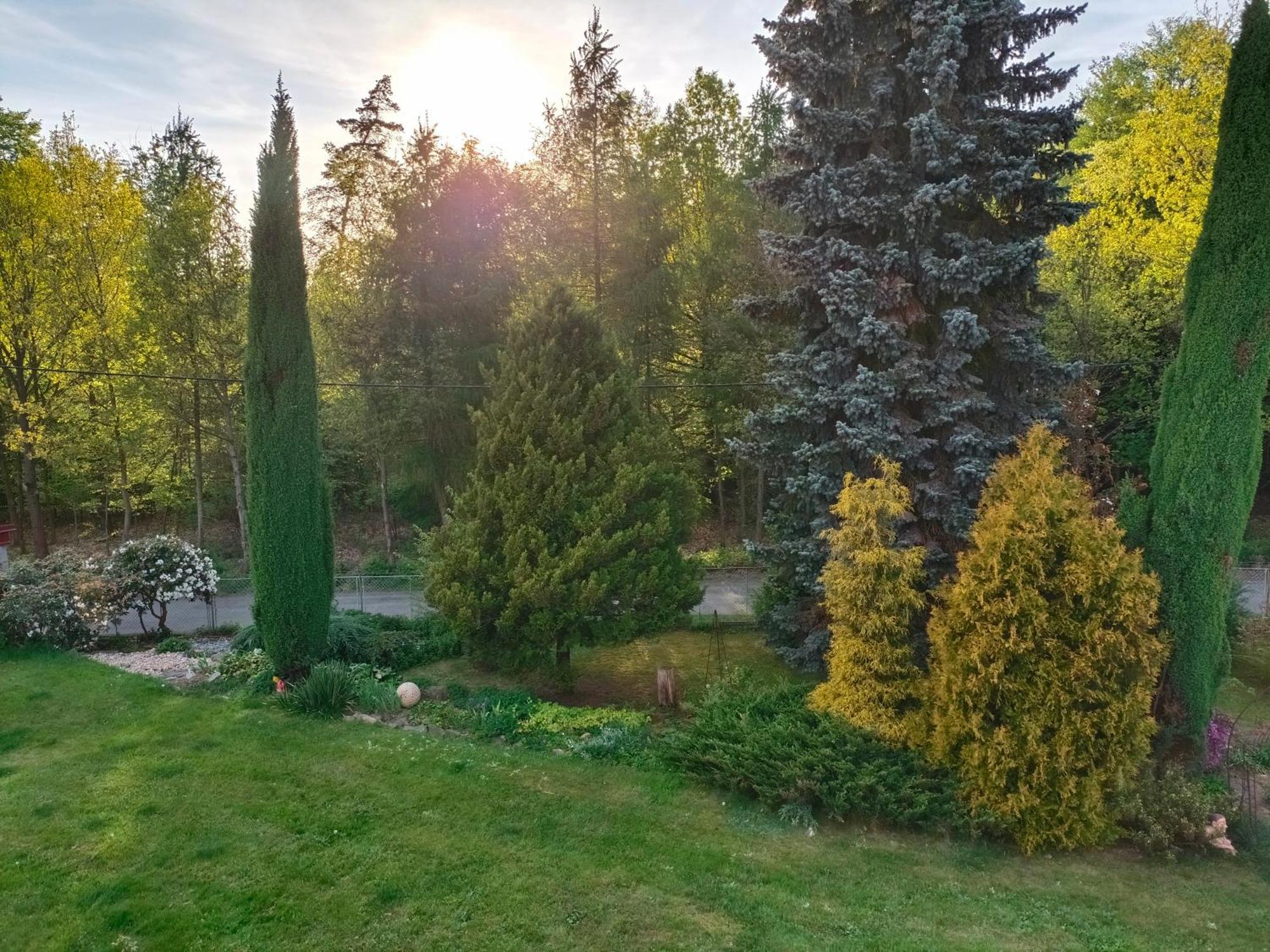Apartman Za Lesem Červený Kostelec エクステリア 写真